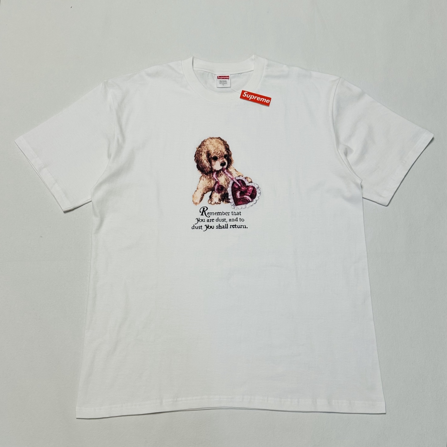 Supreme Dust Tee "Black"（SUP-FW25-273）