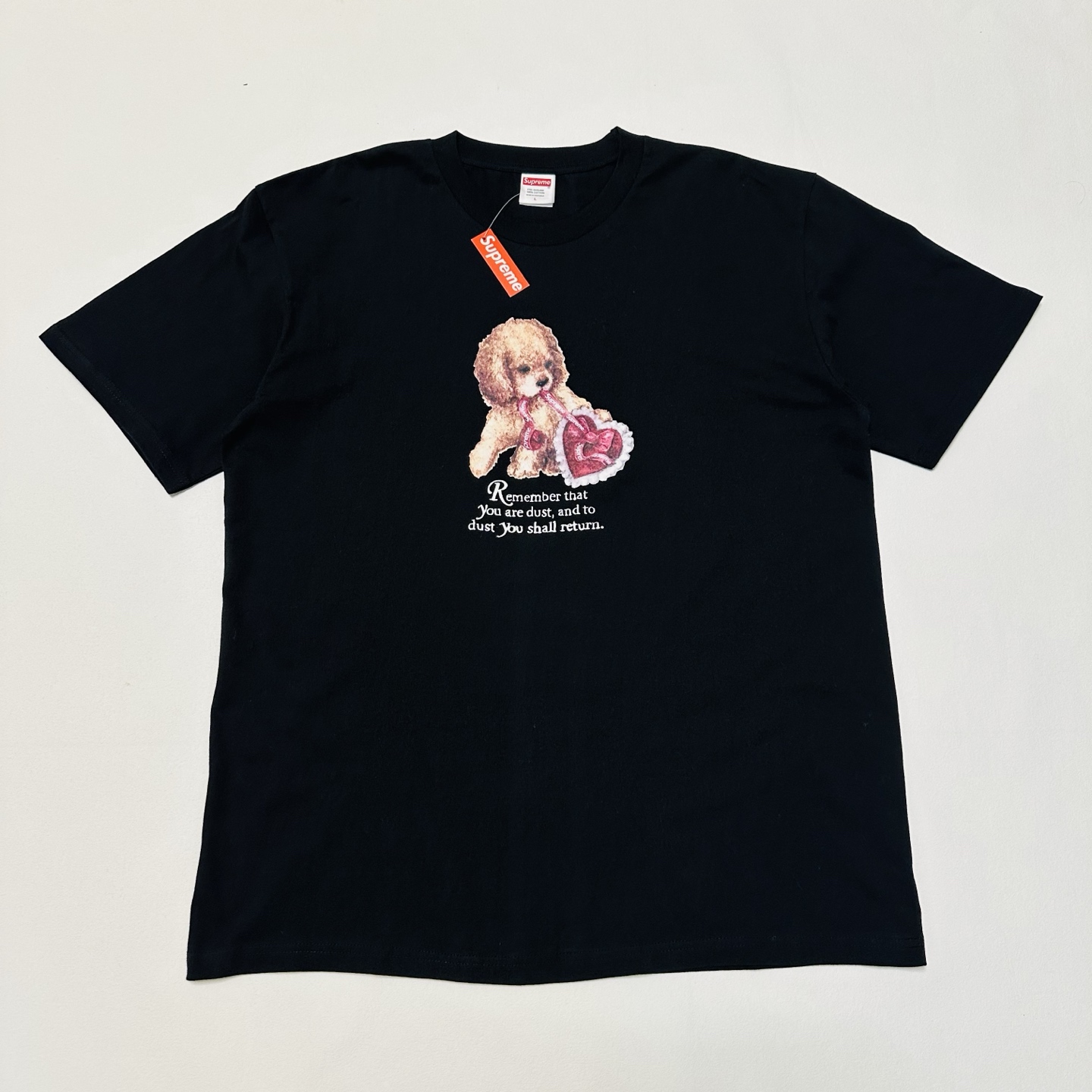 Supreme Dust Tee "Black"（SUP-FW25-273）