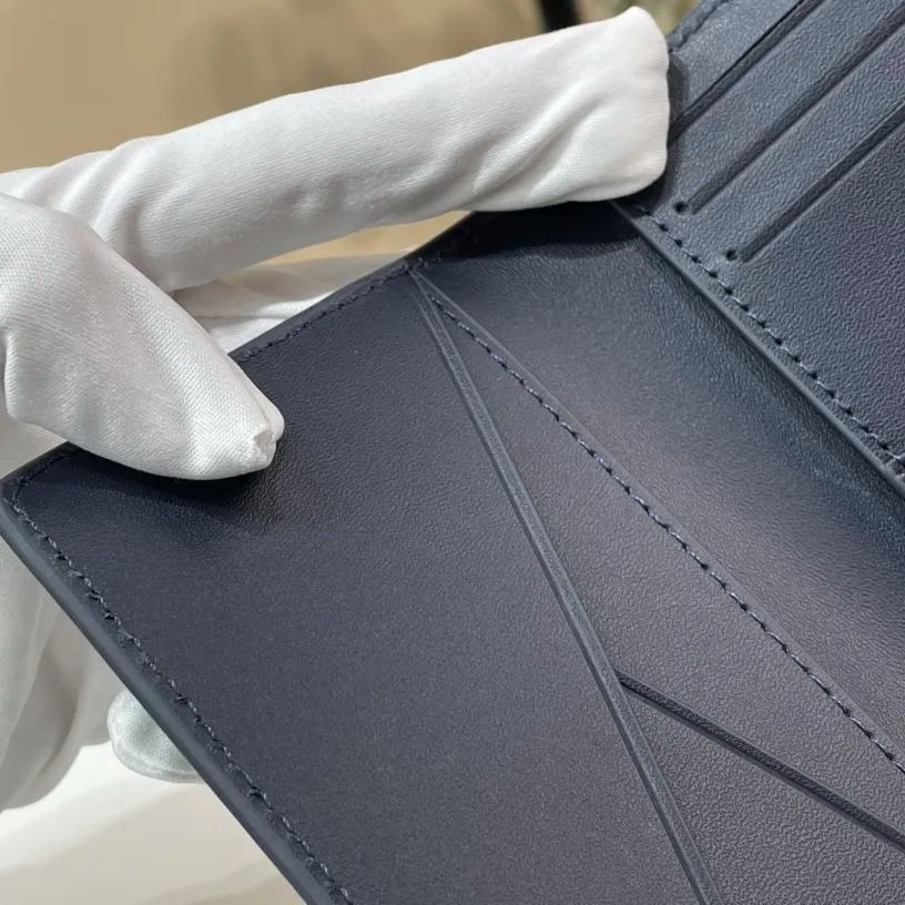 Louis Vuitton Organizer de Poche LV Aerogram (M81730)