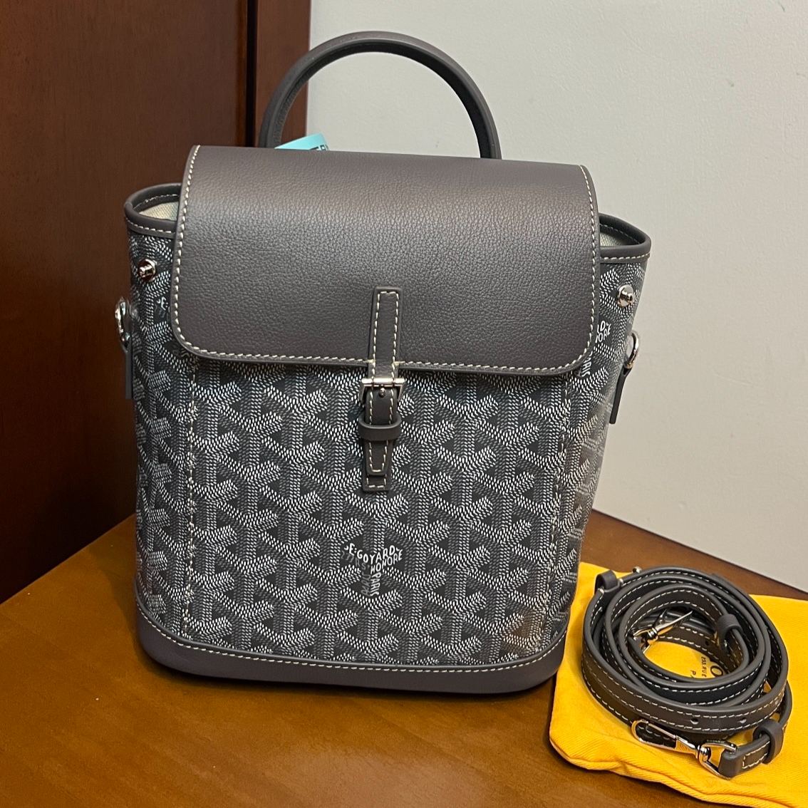 GOYARD Alpin Mini Backpack（ALPINSMINTY09CL09P）