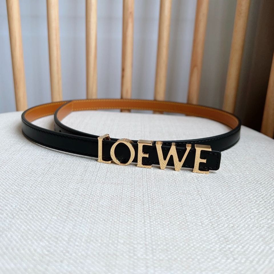 LOEWE 'Lettering' logo belt（E619Z16X161206）