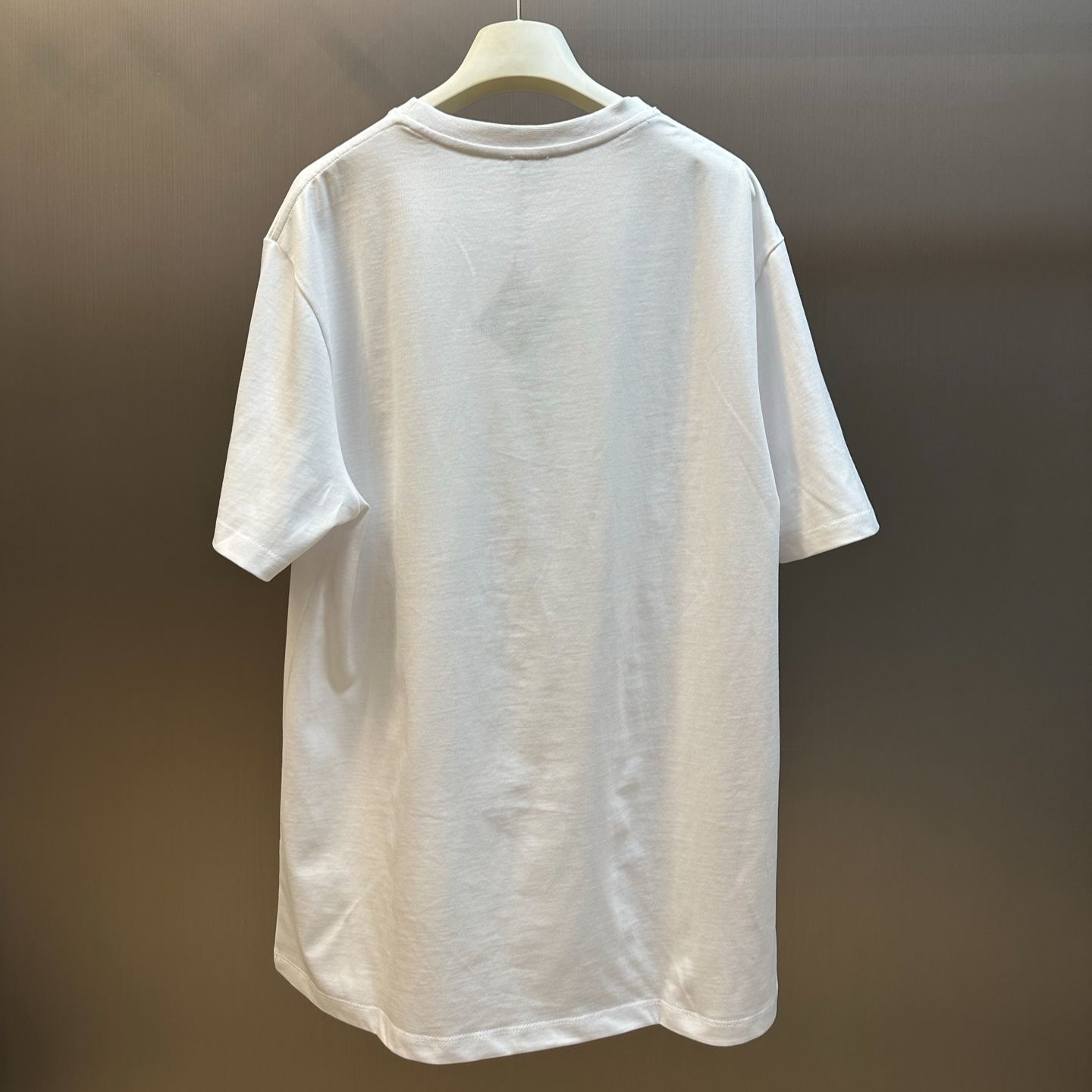 LOEWE Relaxed fit T-shirt in cotton White (H526Y22XD2-2100）