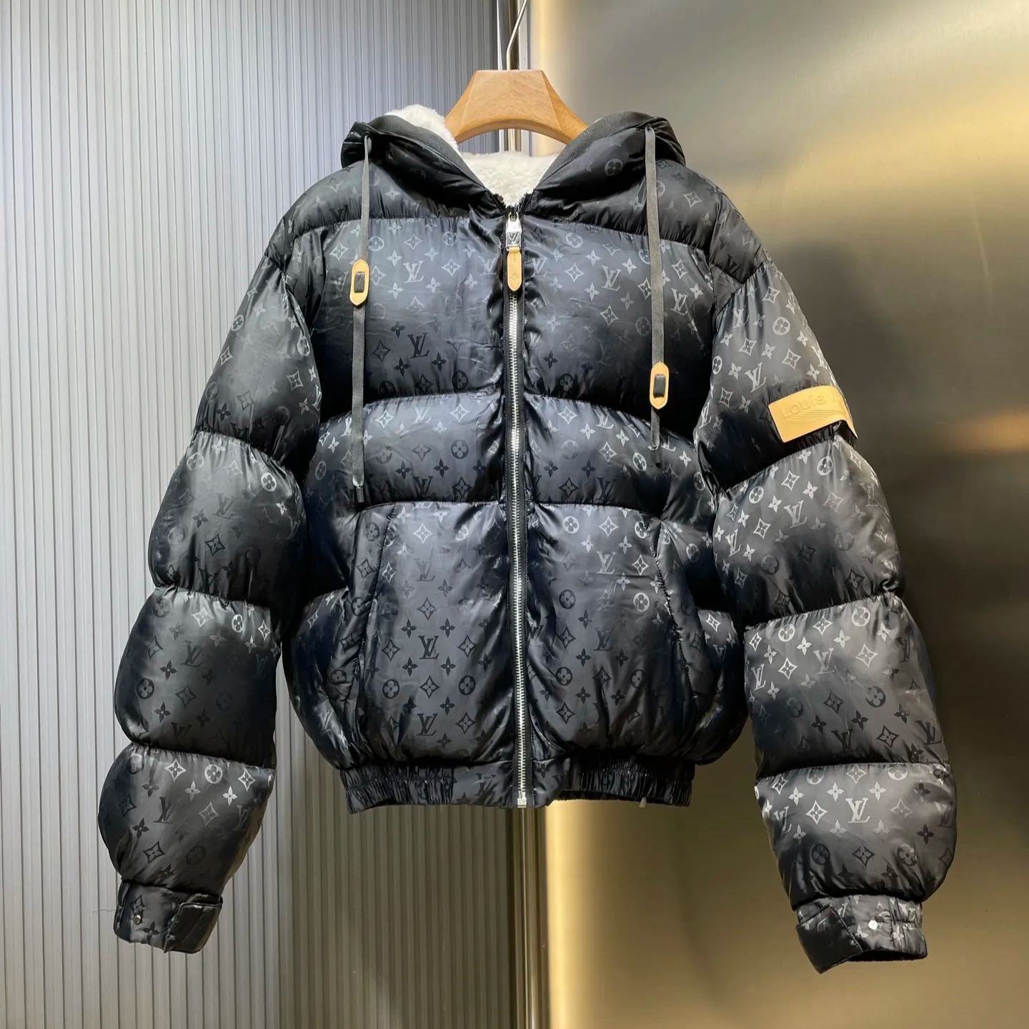 Louis Vuitton Monogram Down Jacket（1AGIRD）