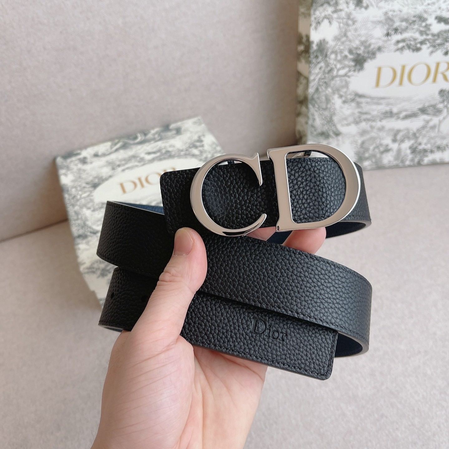 Dior Plaque Reversible Belt 'Black/Silver'（4353PLTAM-H16Q）