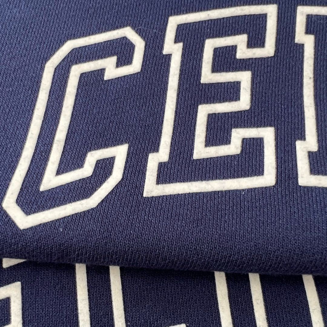 CELINE Crew Neck Hoodie (2Y05G670Q-07TZ）