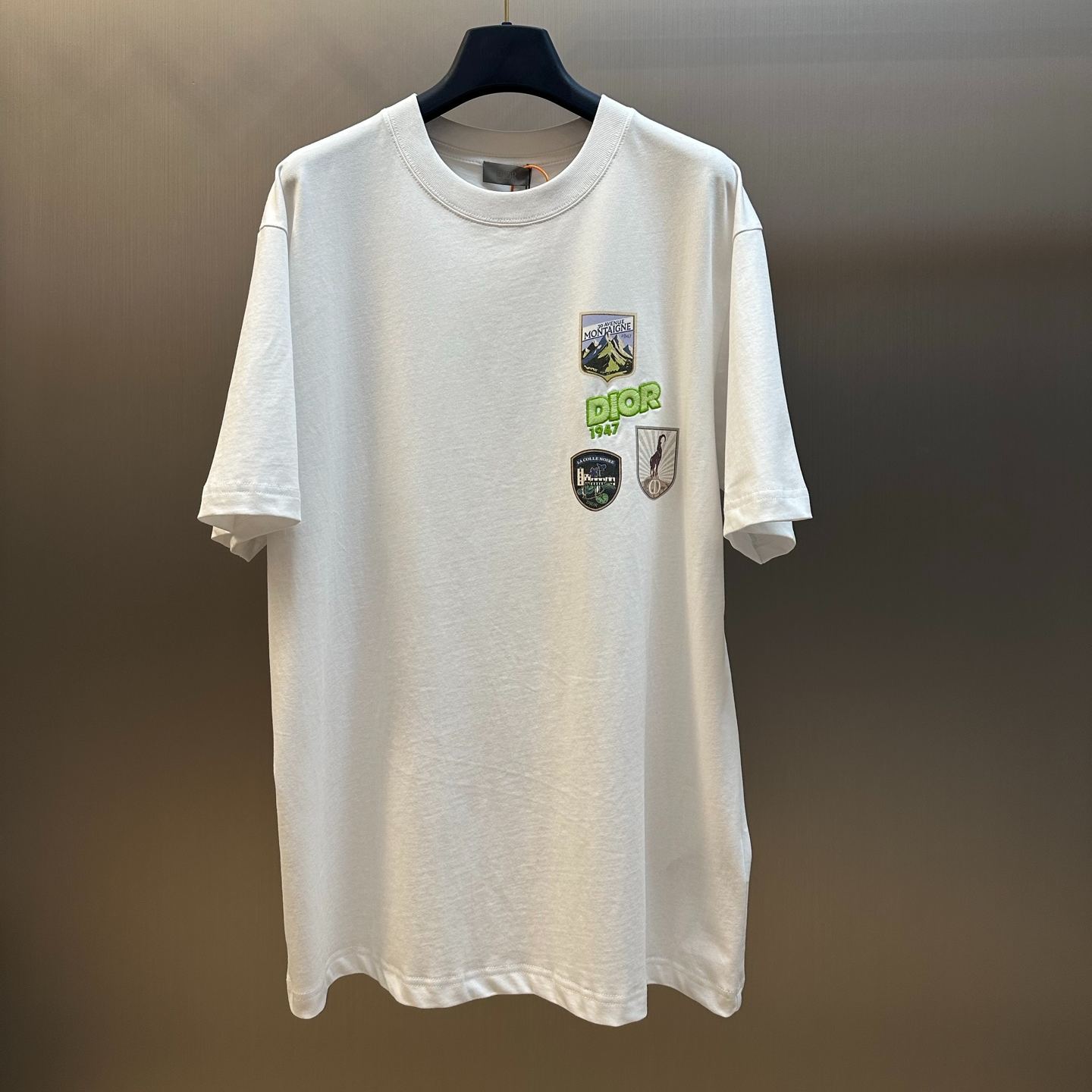 Dior Mountain T-Shirt, Relaxed Fit（613J696E0677-C989）