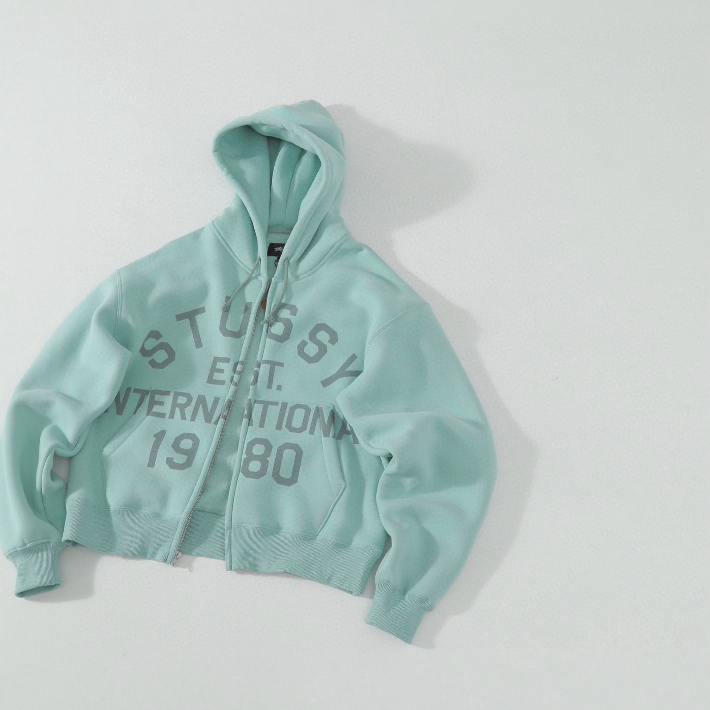 Stussy Established Zip Hoodie（118597）