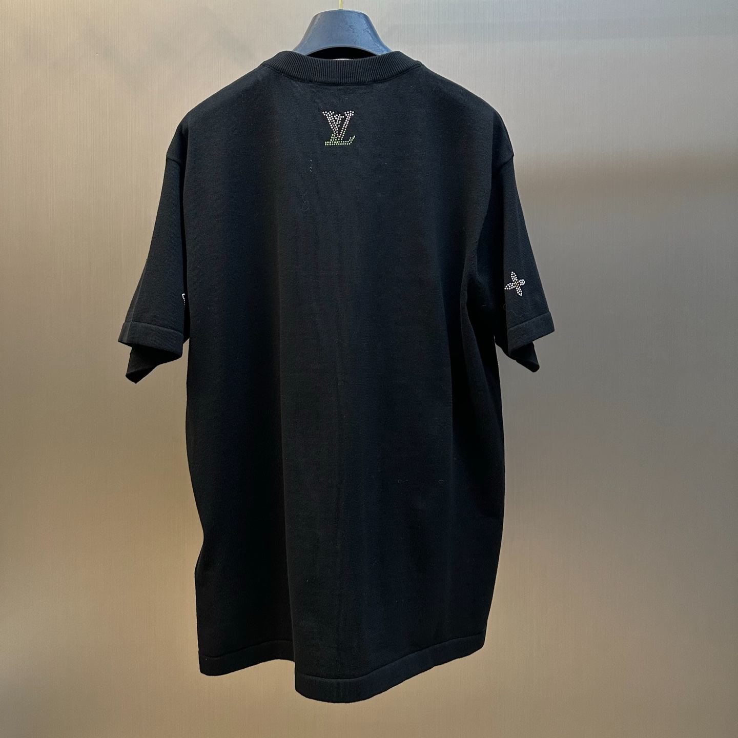 LOUIS VUITTON Decorated Short-Sleeve Crew Neck Top（1AJR10）