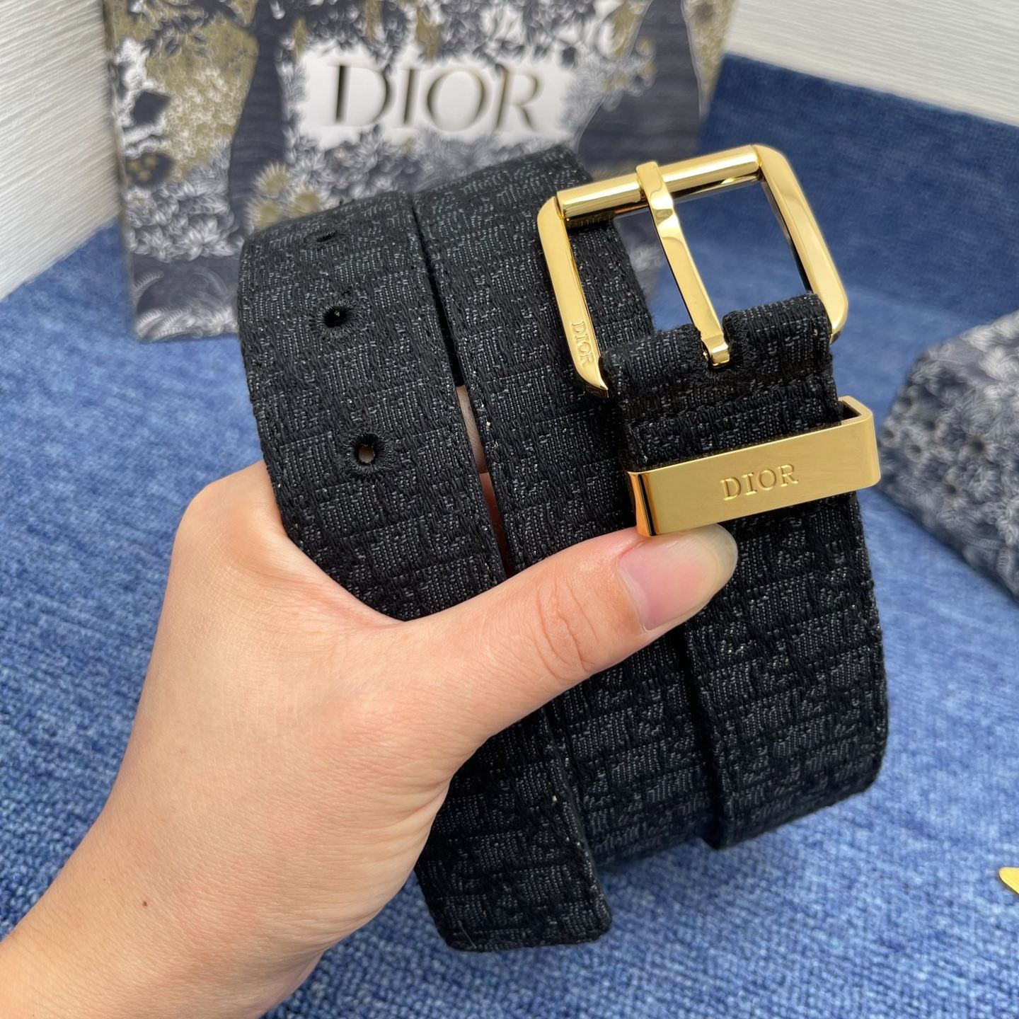 Dior ultra-mini Oblique printed fabric（4333RUDOR_H03E）