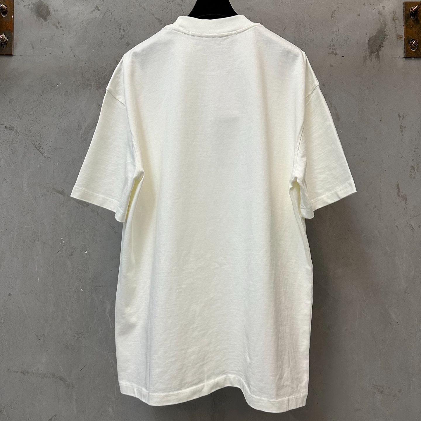 Alexander logo print short-sleeved T-shirt (UCC3261905100）