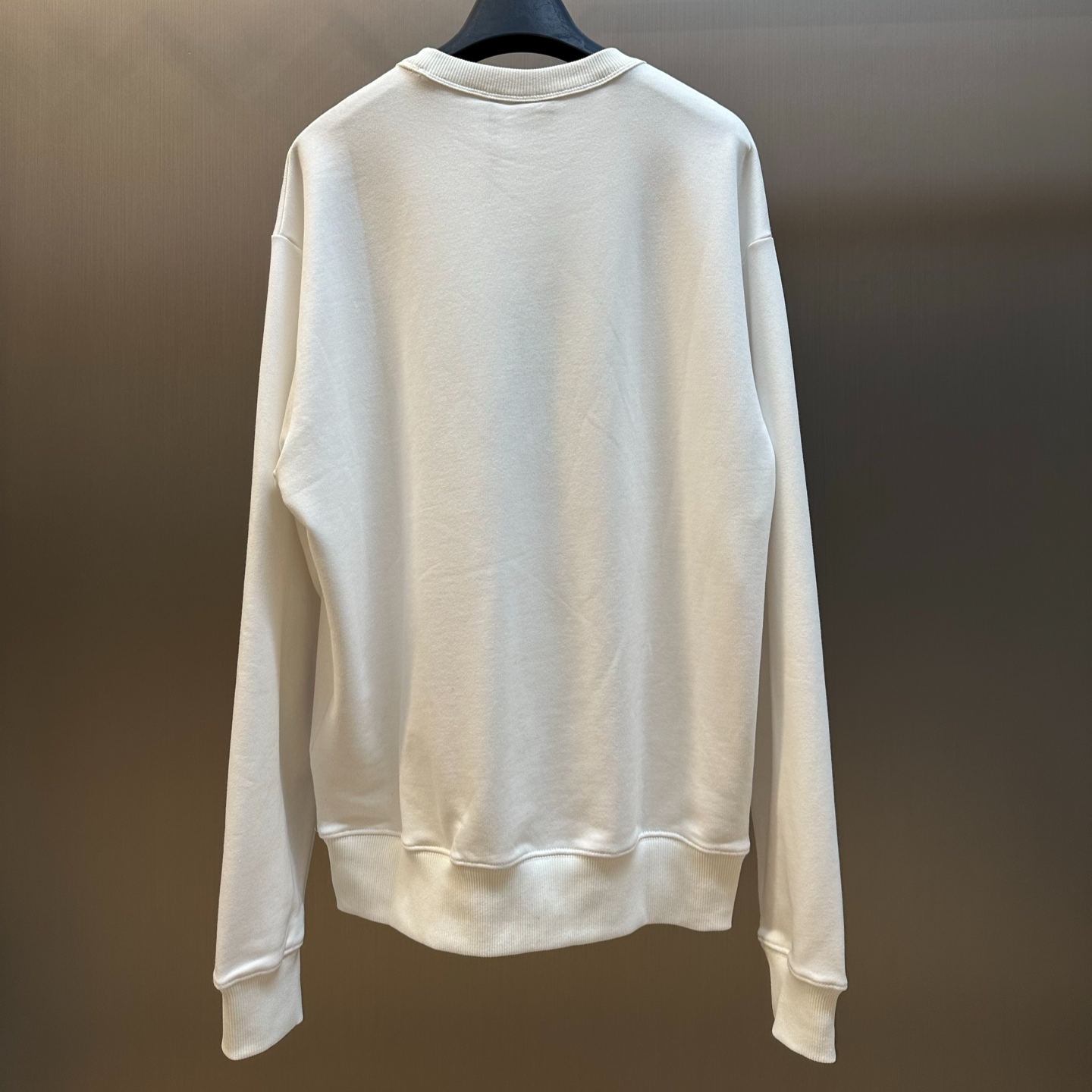 Dior oversized sweatshirt featuring the Dior Médaillon Colibri motif「Dior Médaillon Colibri（643J672A3105-C081）