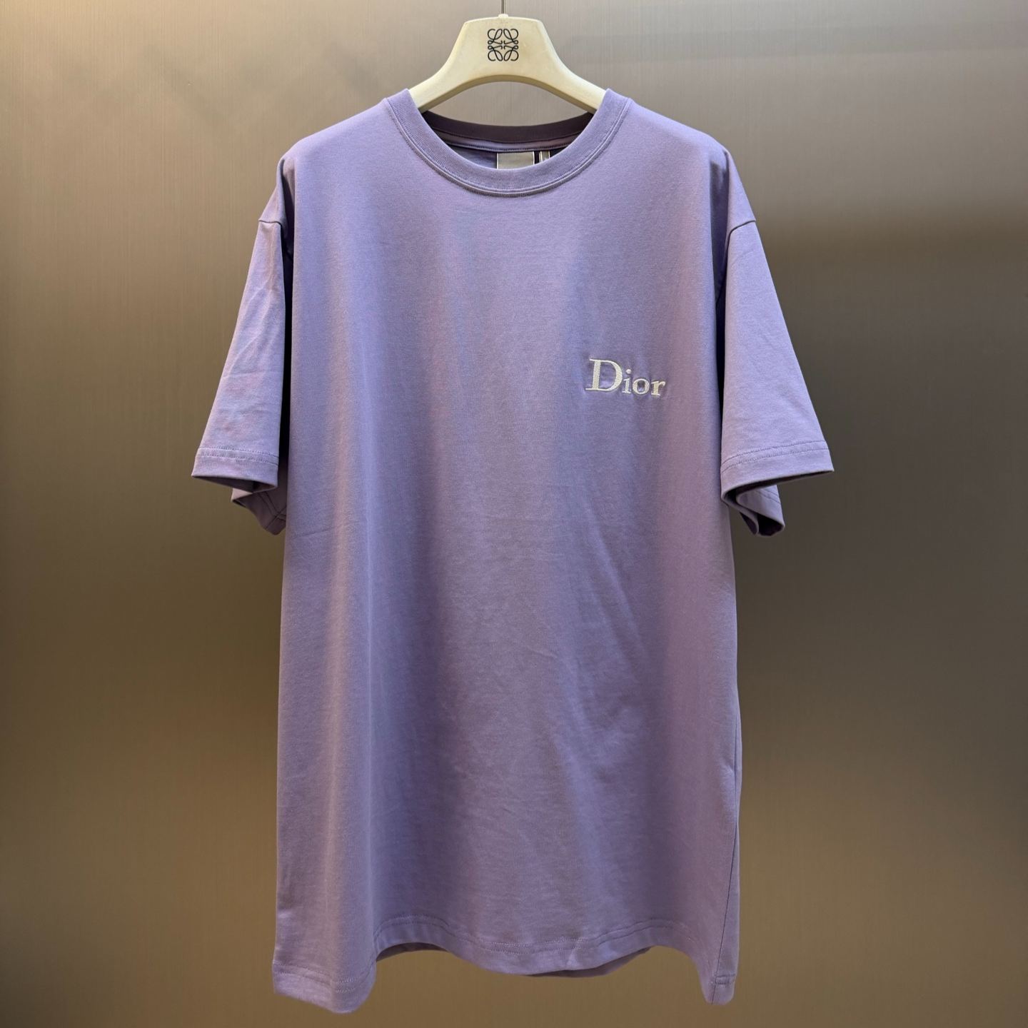 Dior Embroidered T-Shirt（643J634A3282_C480）