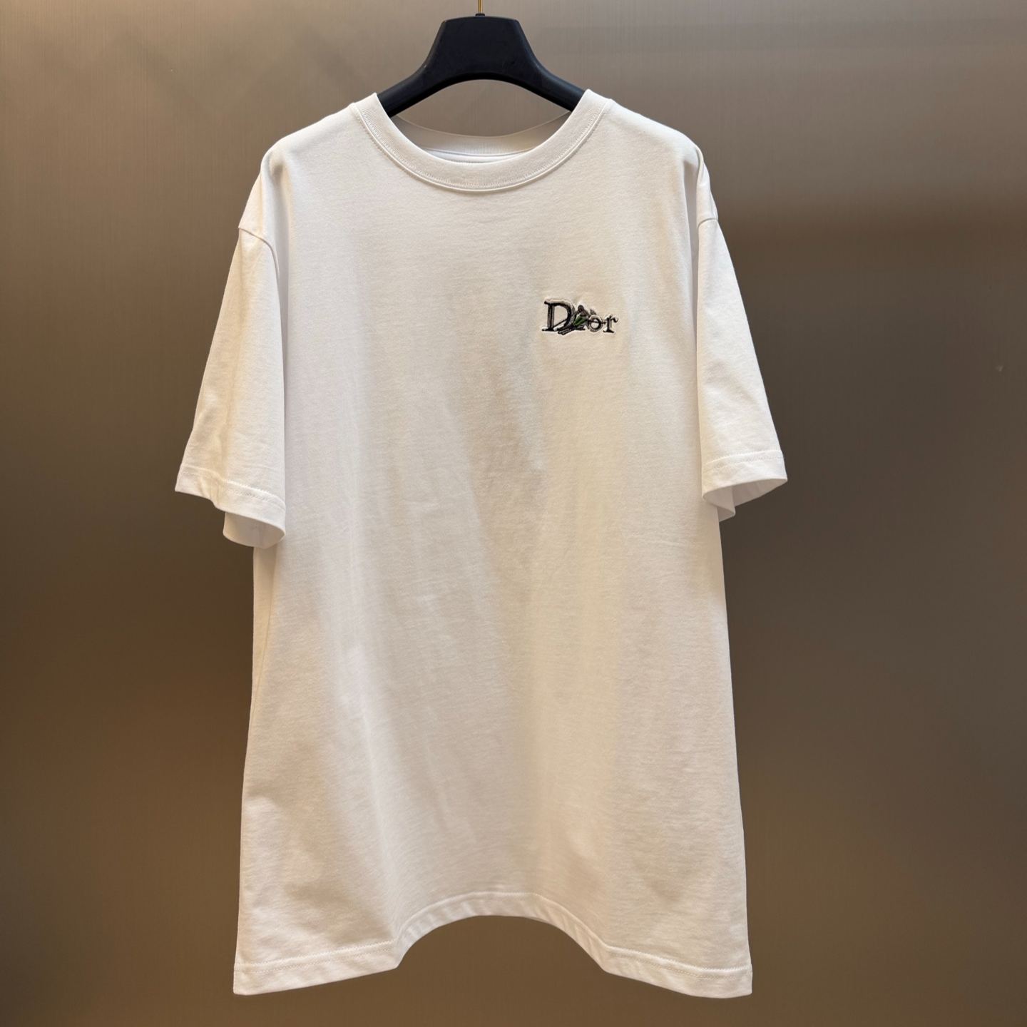 Dior Alps Loose-Fit T-Shirt（713J682A3947_C088）