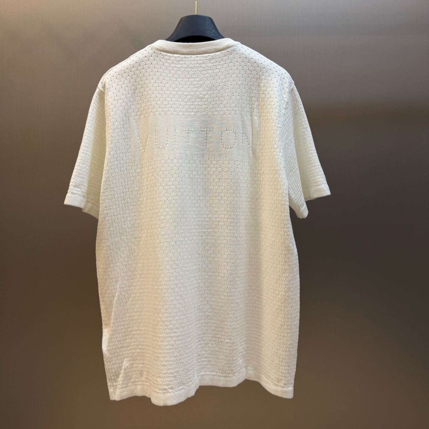 Louis Vuitton Knitted Mesh Short-Sleeved Crewneck（1AKOVD）