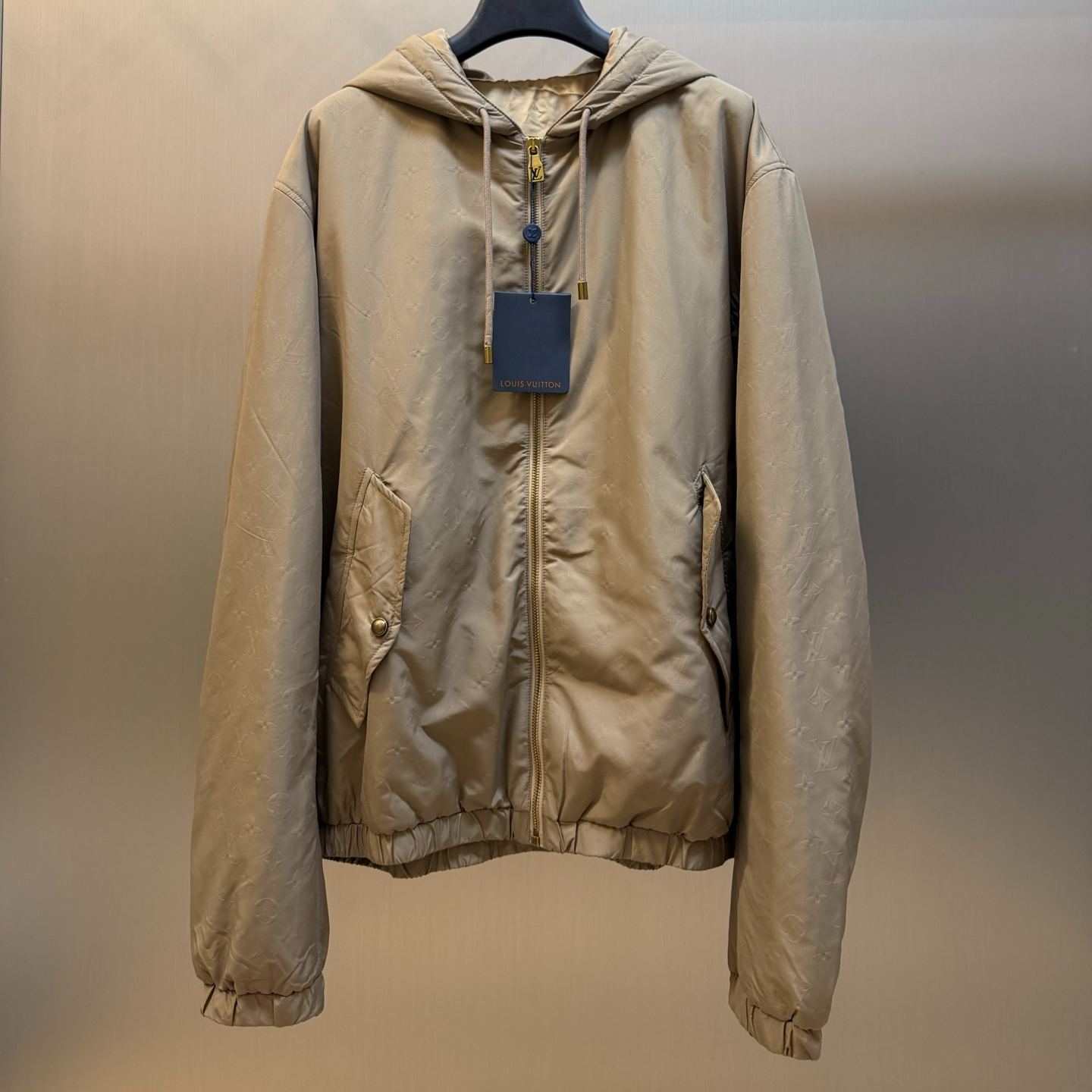 Louis VuittonMonogram Embossed Suede Hoodie（1AKLMQ）