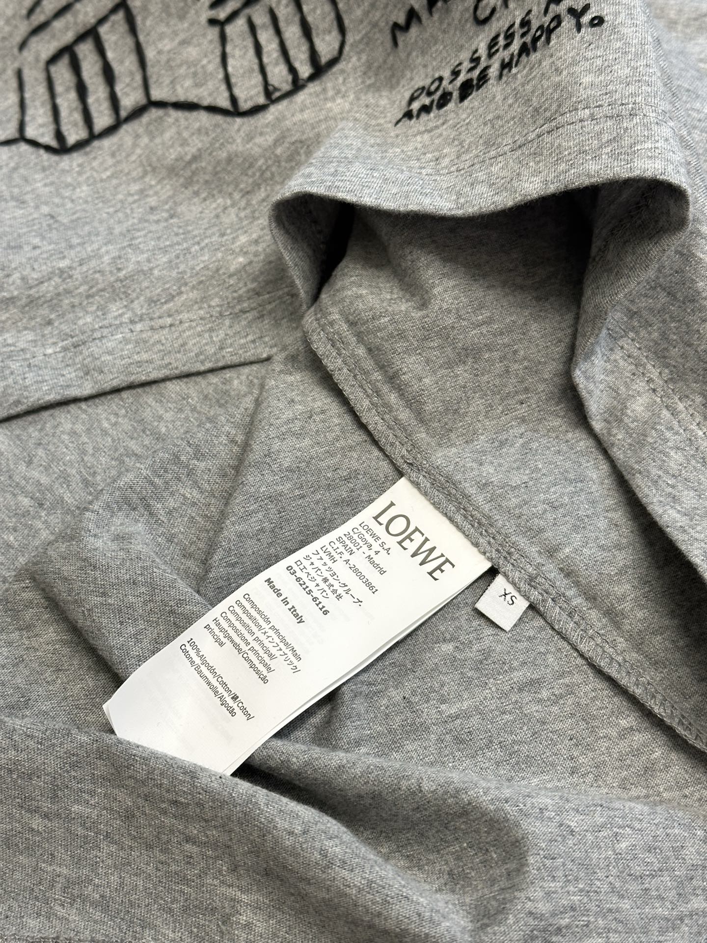 LOEWE Long sleeve T-shirt in cotton Grey (H526Y24J32-1440）