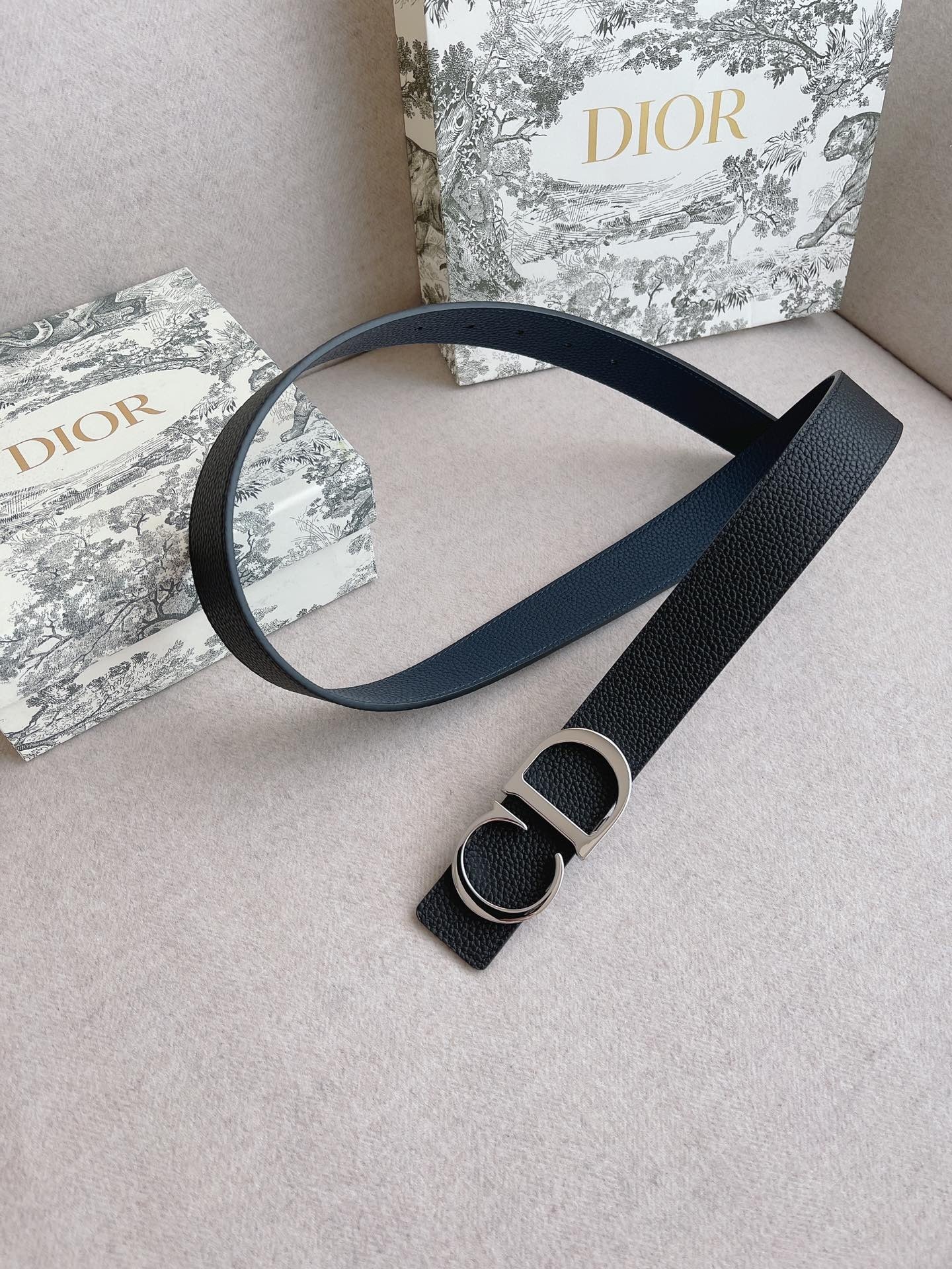Dior Plaque Reversible Belt 'Black/Silver'（4353PLTAM-H16Q）