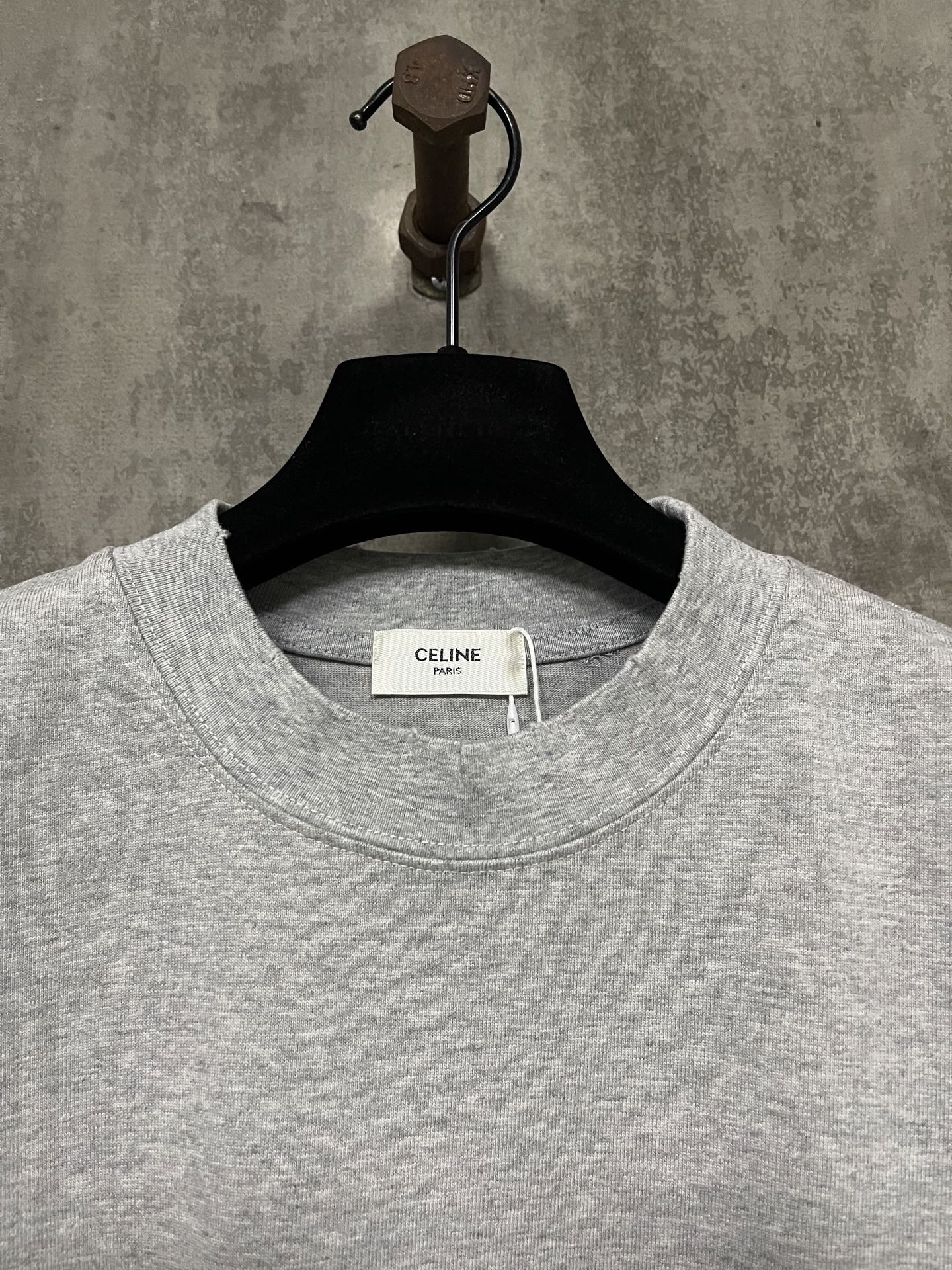 CELINE Loose T-shirt in Cotton Jersey (2X43C671Q-38AW）