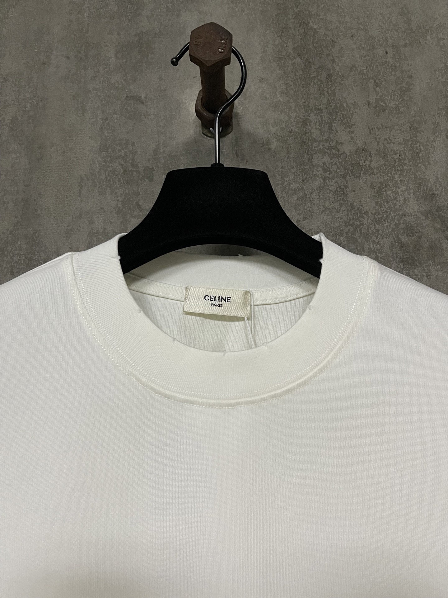 CELINE Loose T-shirt in Cotton Jersey (2X43C671Q-38AW）