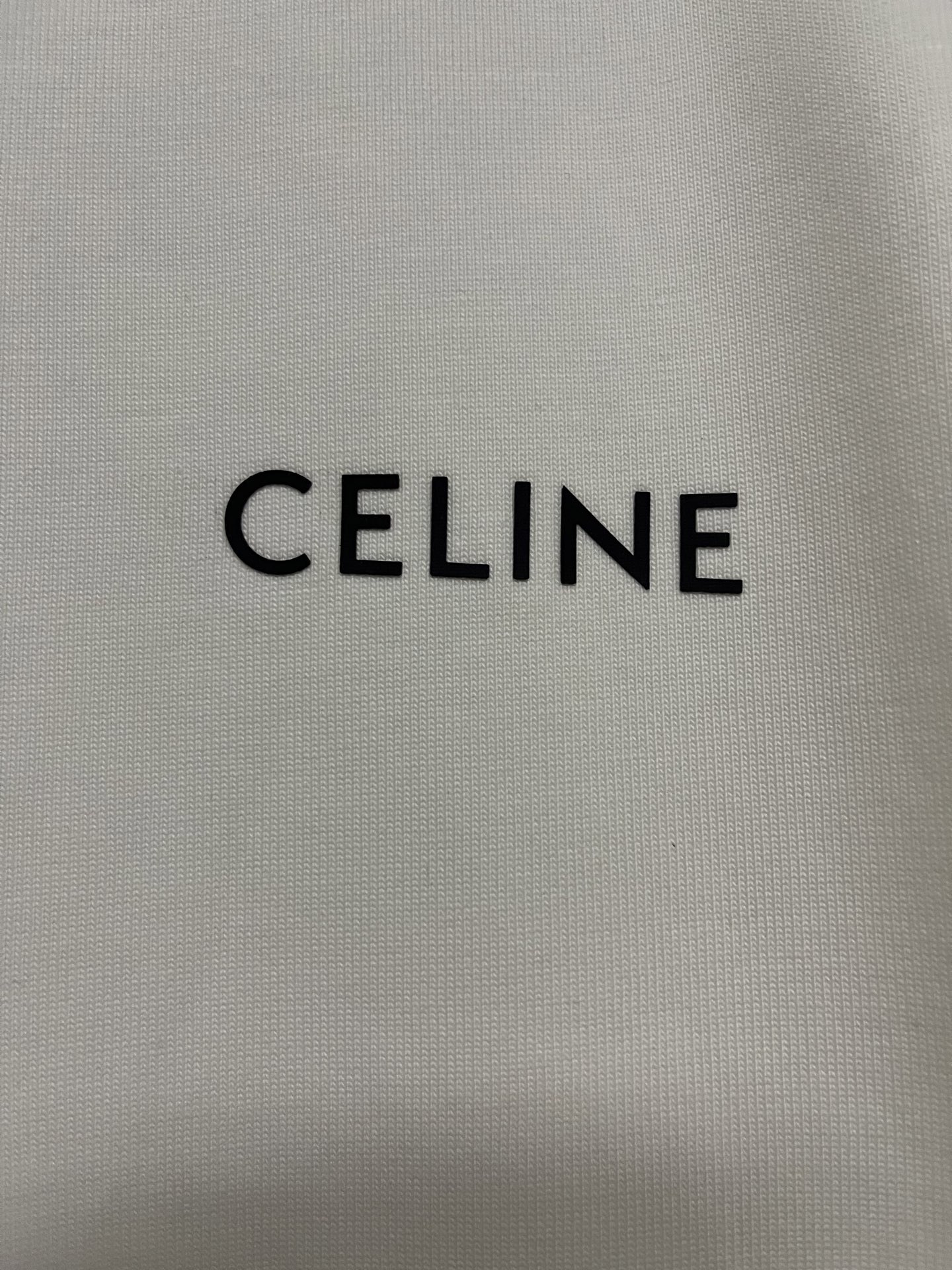 CELINE Loose T-shirt in Cotton Jersey (2X43C671Q-38AW）