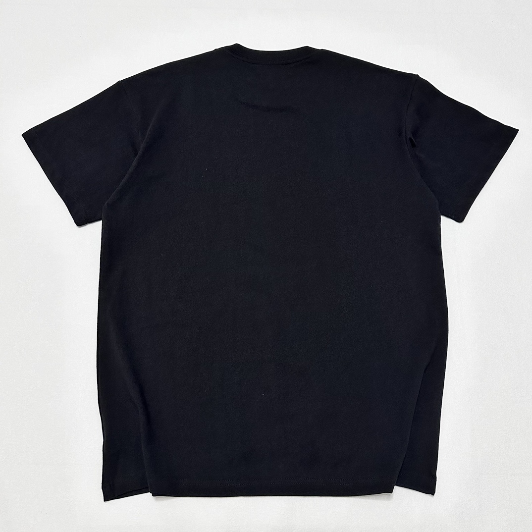 Carhartt WIP FIBO T-shirt short sleeve logo 3 colors （CHXTEF23I122L）