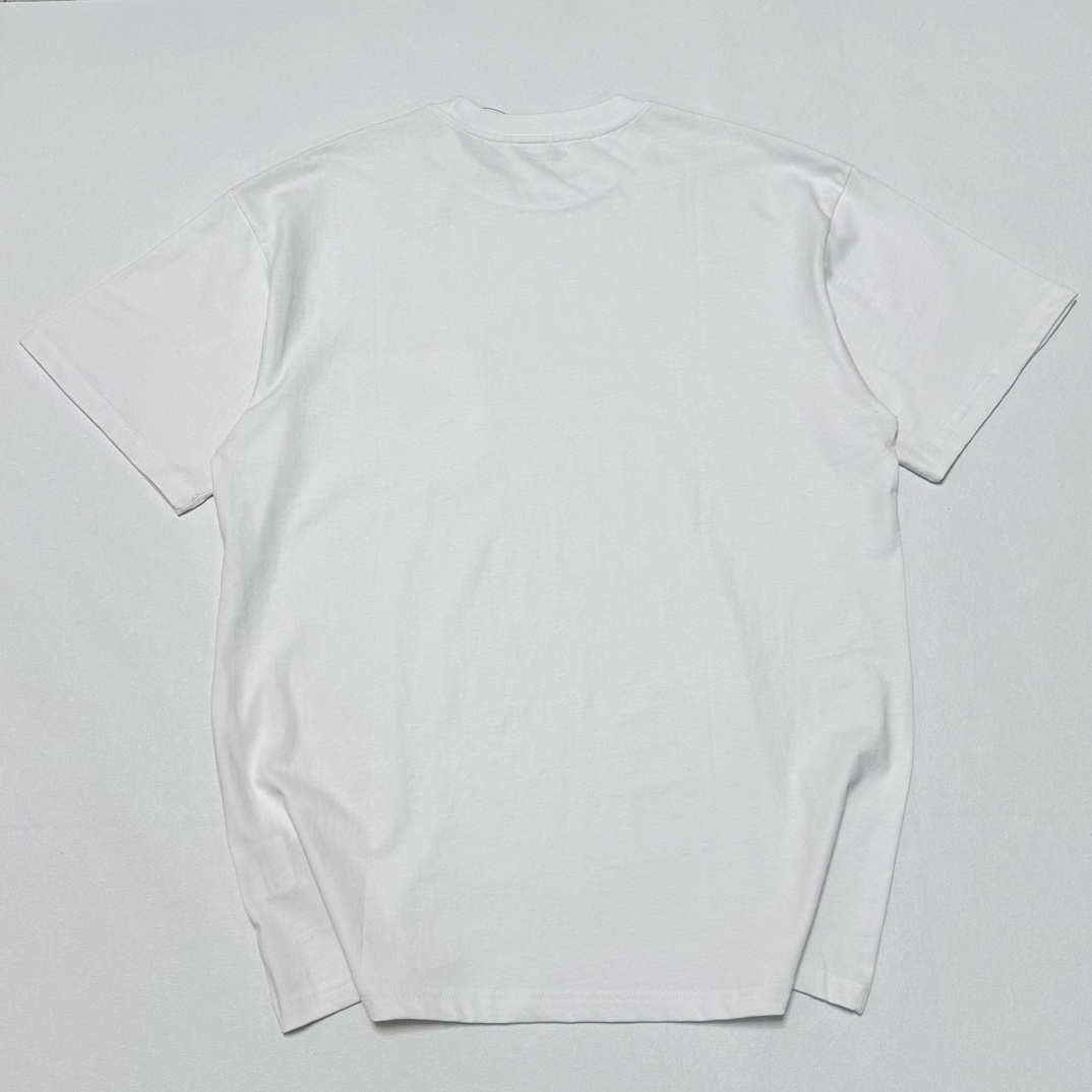 Carhartt WIP FIBO T-shirt short sleeve logo 3 colors （CHXTEF23I122L）