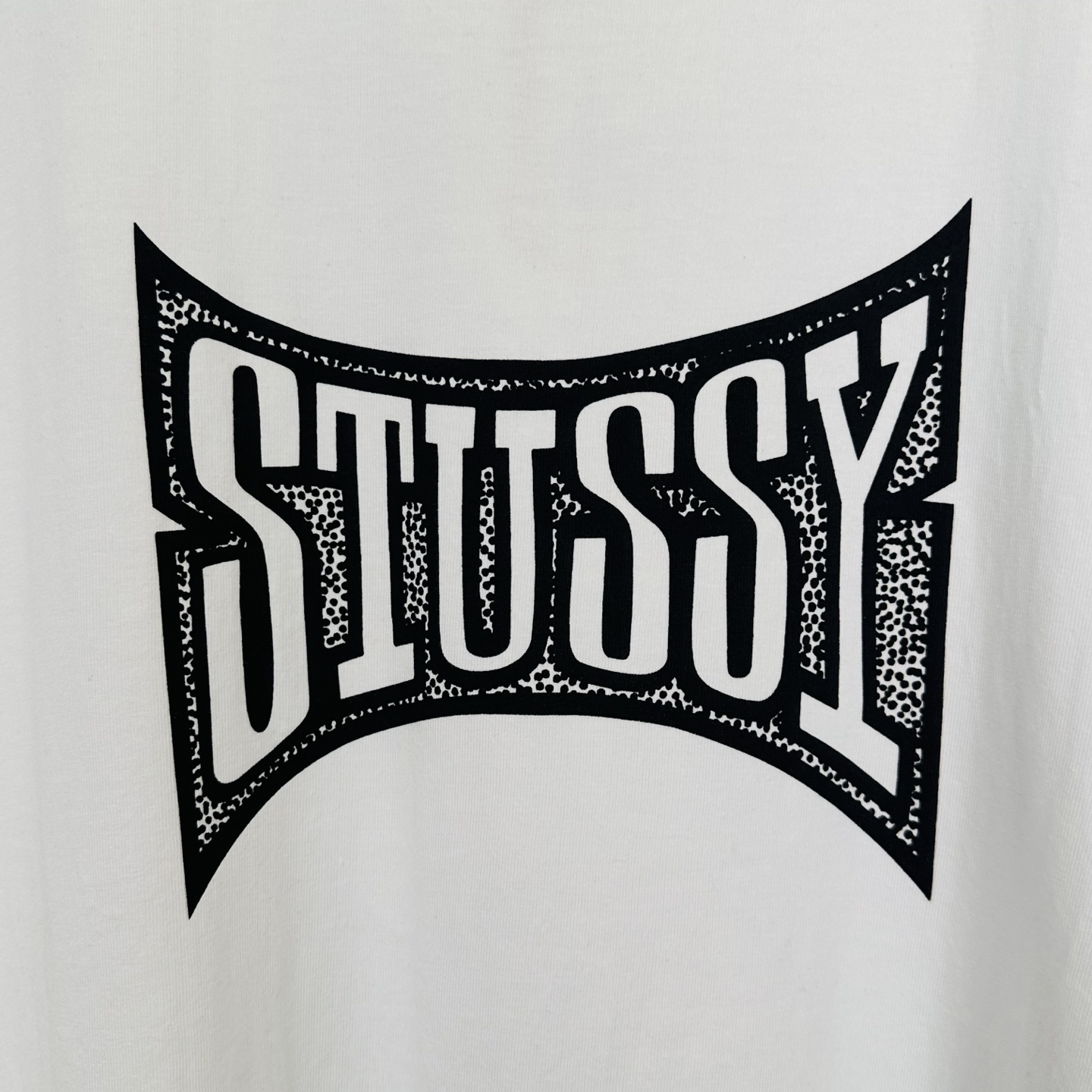 Stussy Champion Tee "White"（1905102）