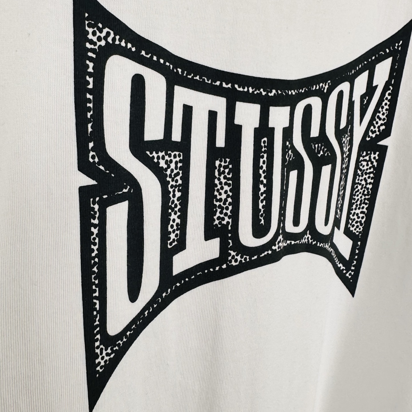 Stussy Champion Tee "White"（1905102）