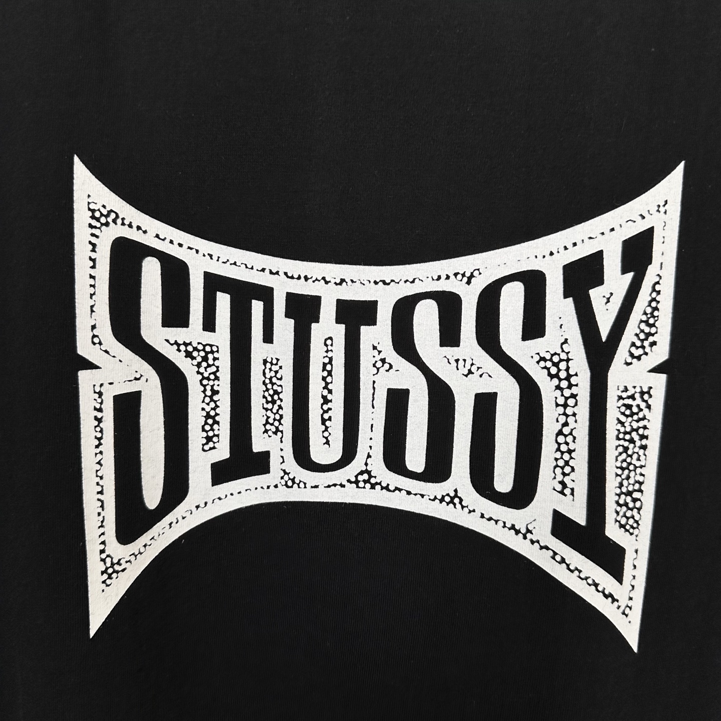 Stussy Champion Tee "White"（1905102）