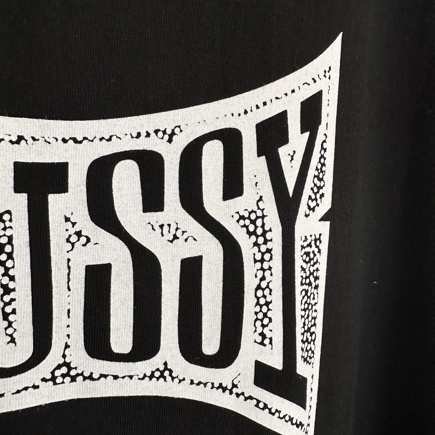 Stussy Champion Tee "White"（1905102）