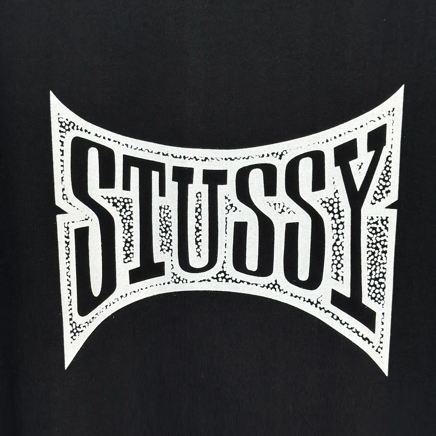 Stussy Champion Tee "White"（1905102）