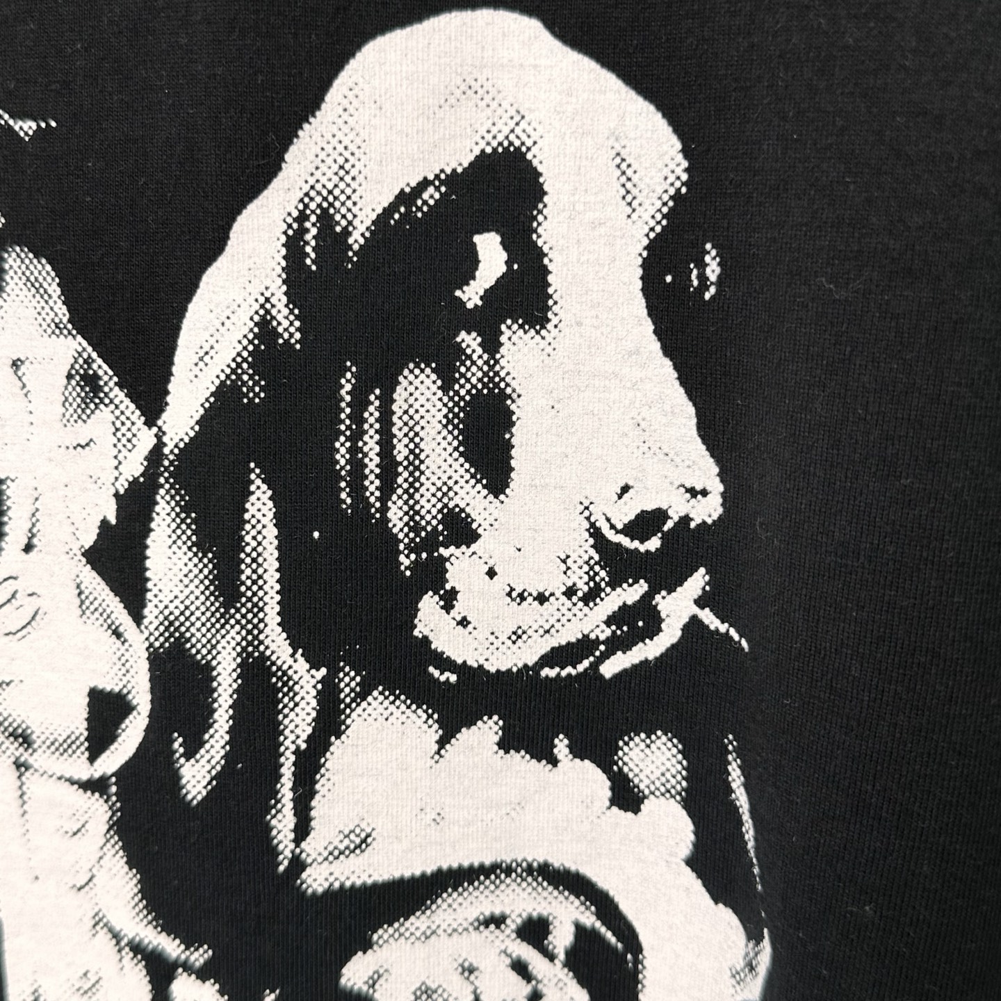 Stussy Dog Crown Tee（1905099）