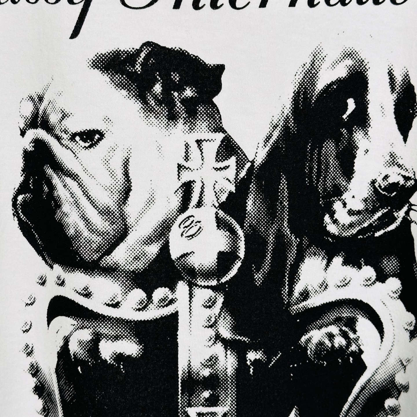 Stussy Dog Crown Tee（1905099）