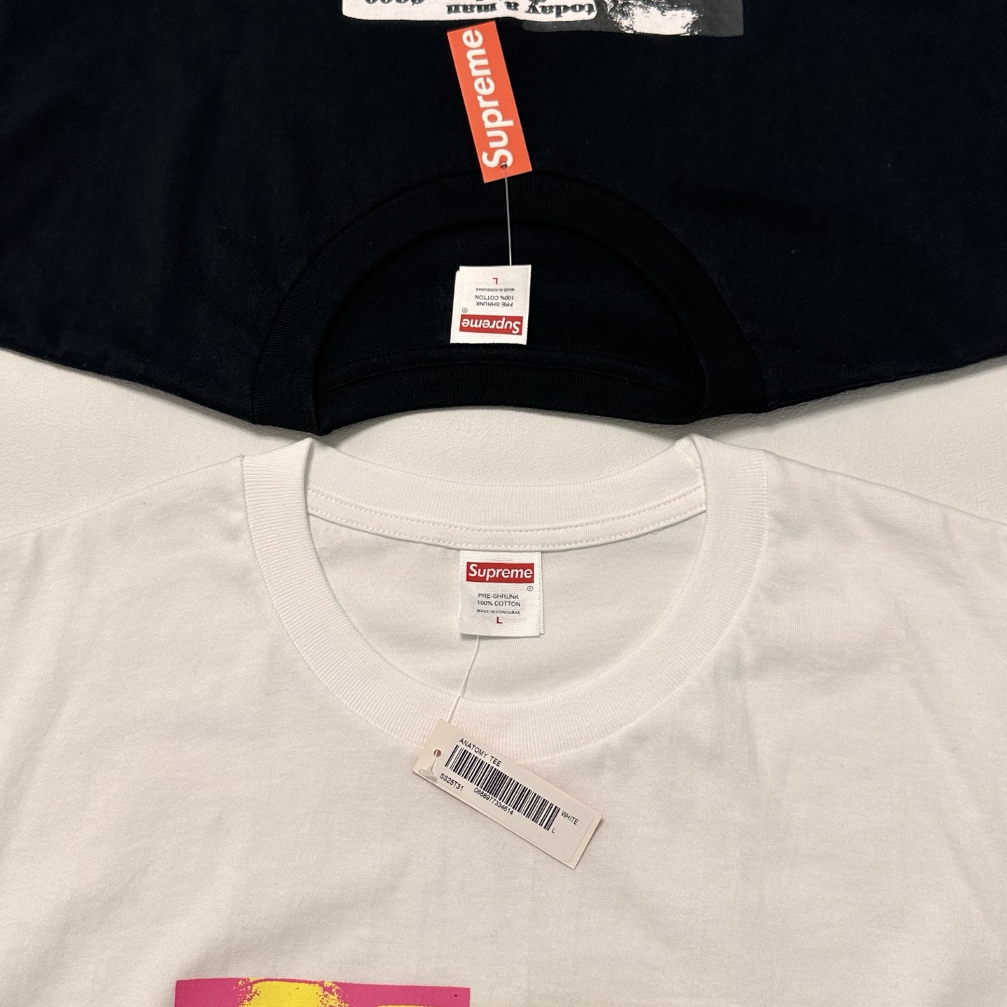SUPREME 25SS Anatomy Tee （SUP-SS25-040）