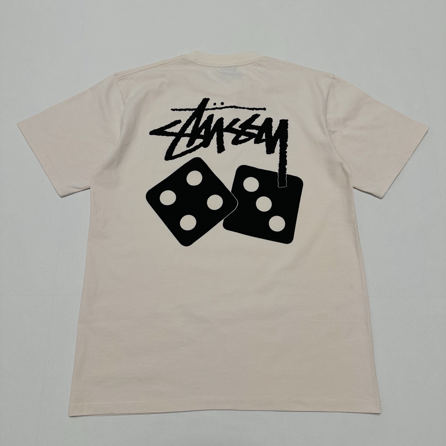 Stussy Dice Pigment Dyed Tee 'Black'（1904721）