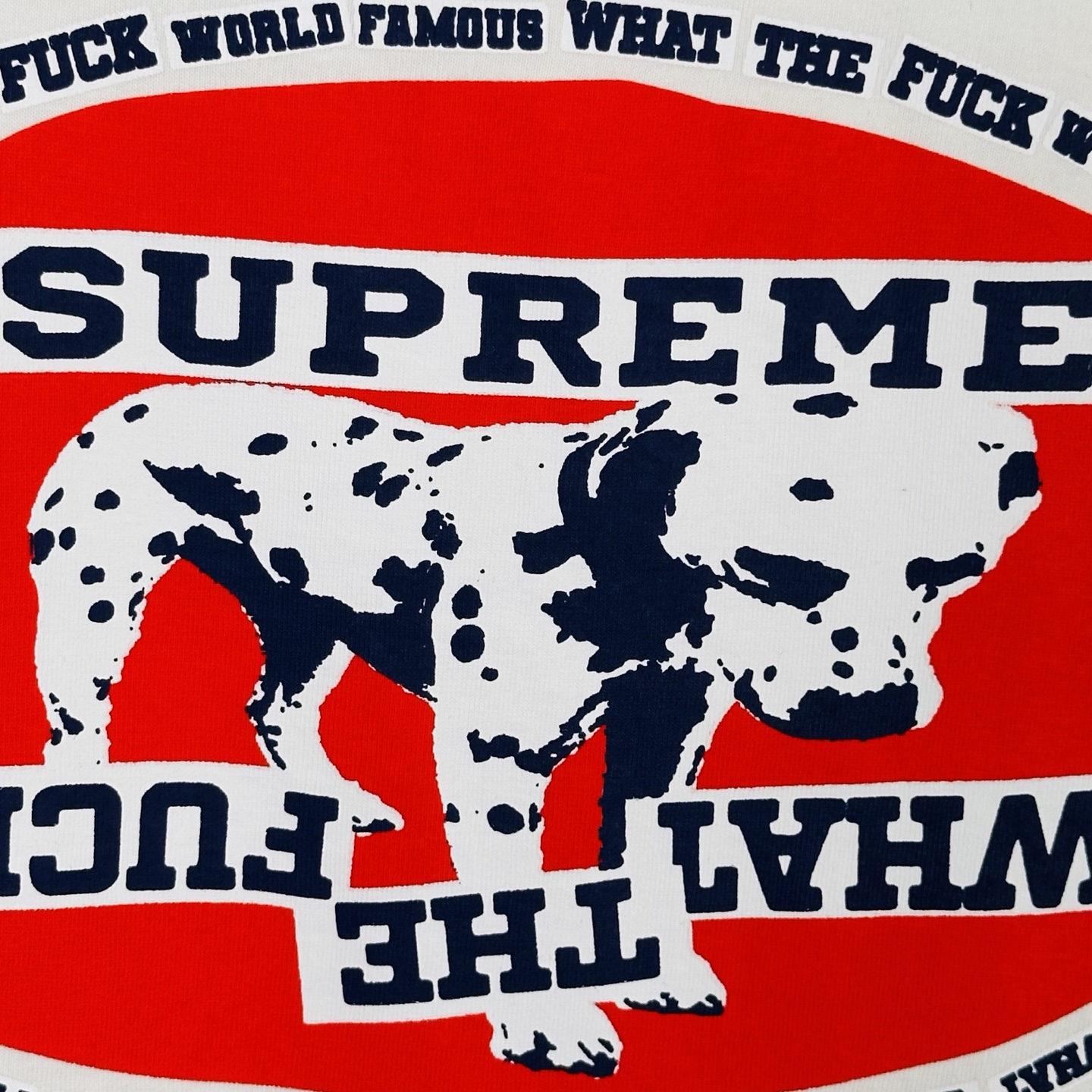 Supreme Dalmatian Tee（SUP-SS25-WEEK7-016）