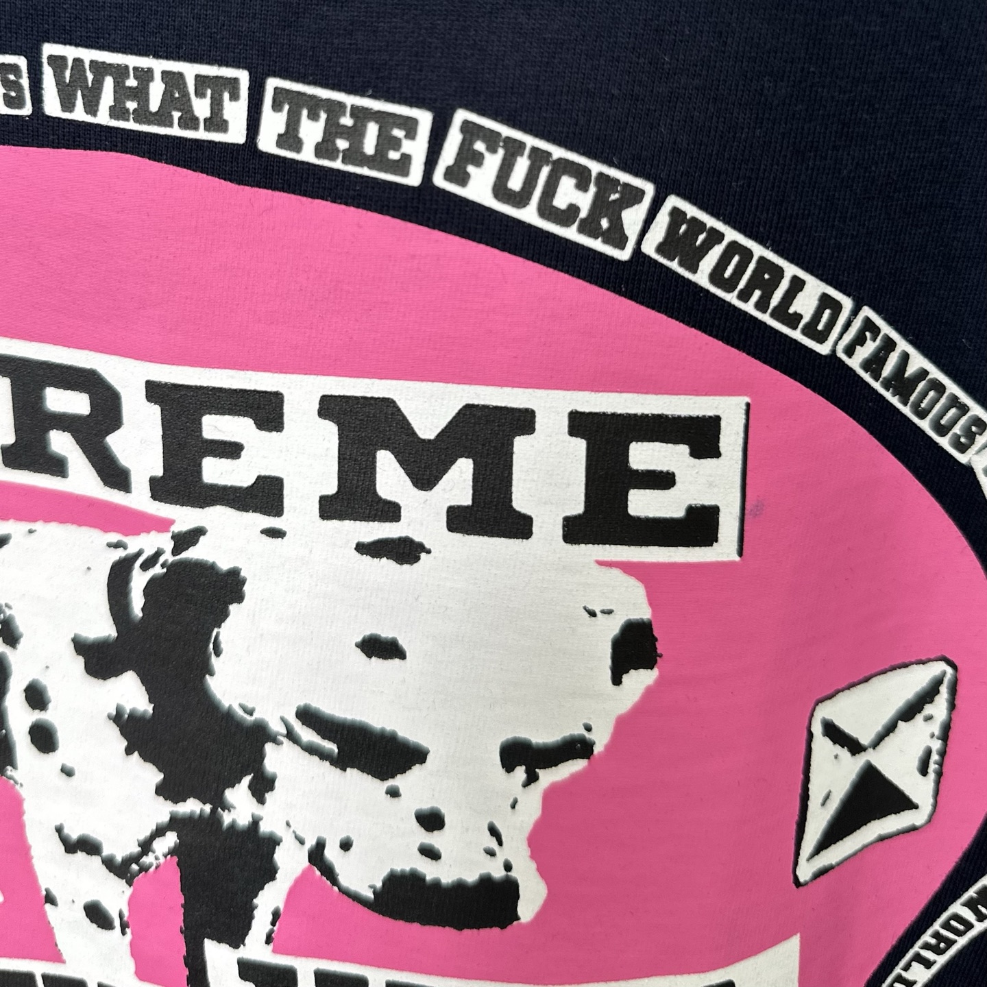 Supreme Dalmatian Tee（SUP-SS25-WEEK7-016）