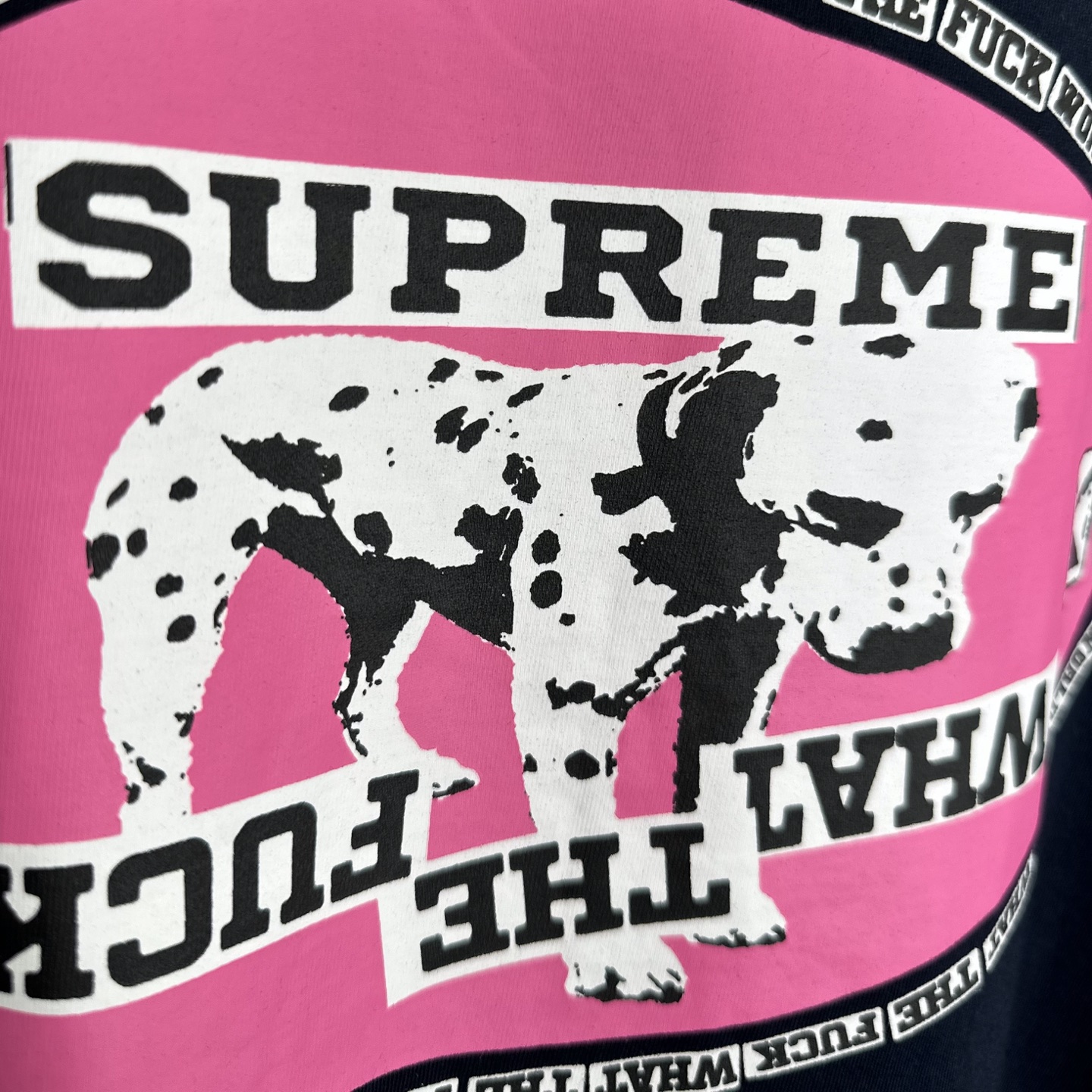 Supreme Dalmatian Tee（SUP-SS25-WEEK7-016）