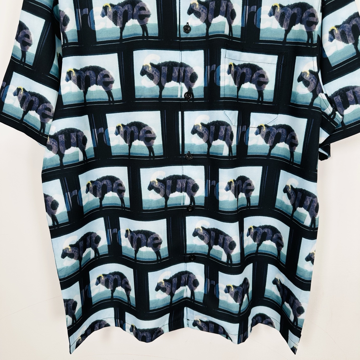 Supreme x Damien Hirst S/S Shirt "Black"（SUP-SS25-006）