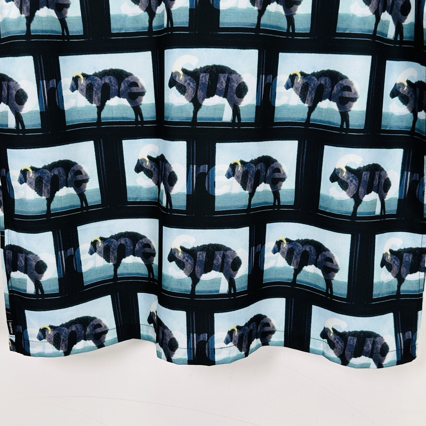 Supreme x Damien Hirst S/S Shirt "Black"（SUP-SS25-006）