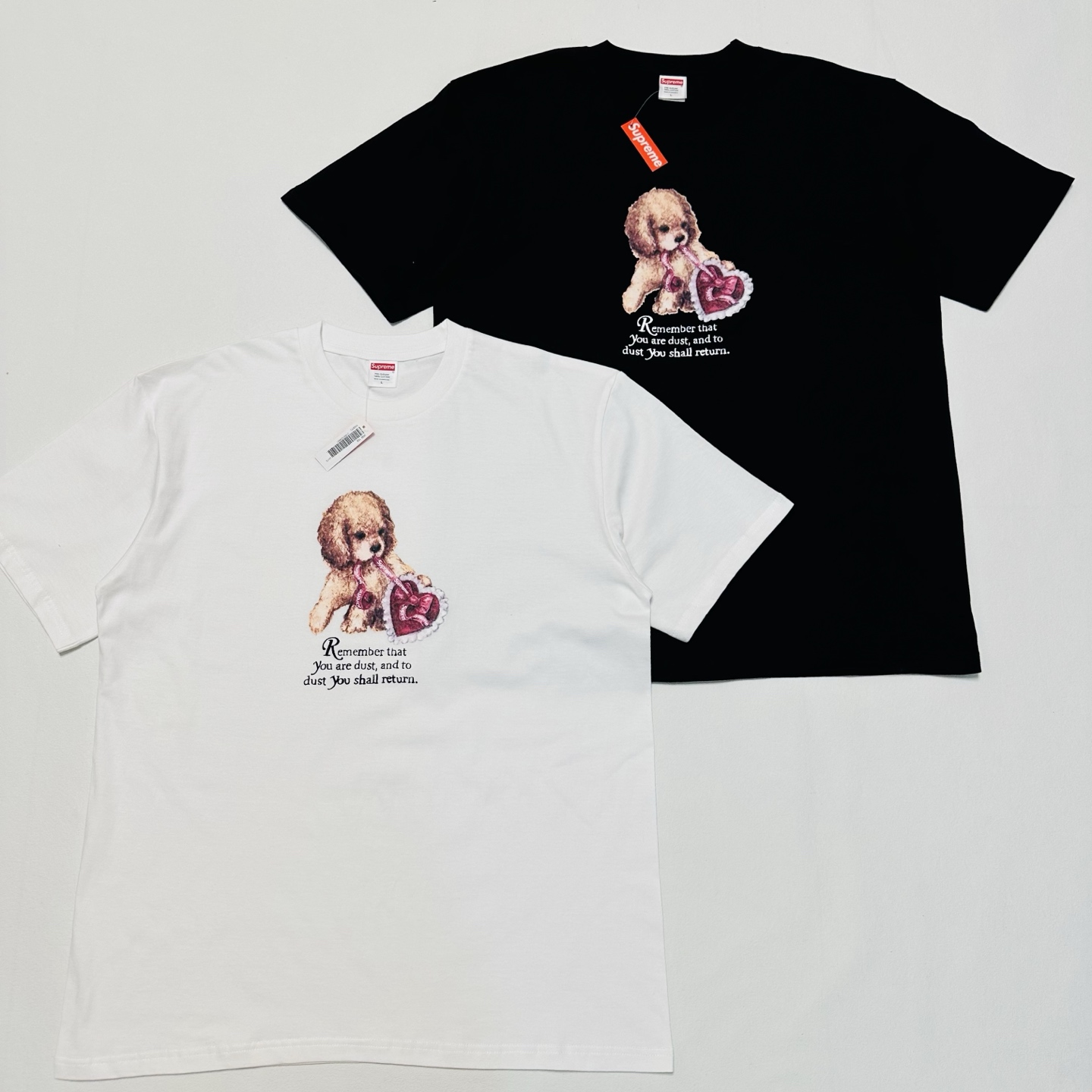 Supreme Dust Tee "Black"（SUP-FW25-273）