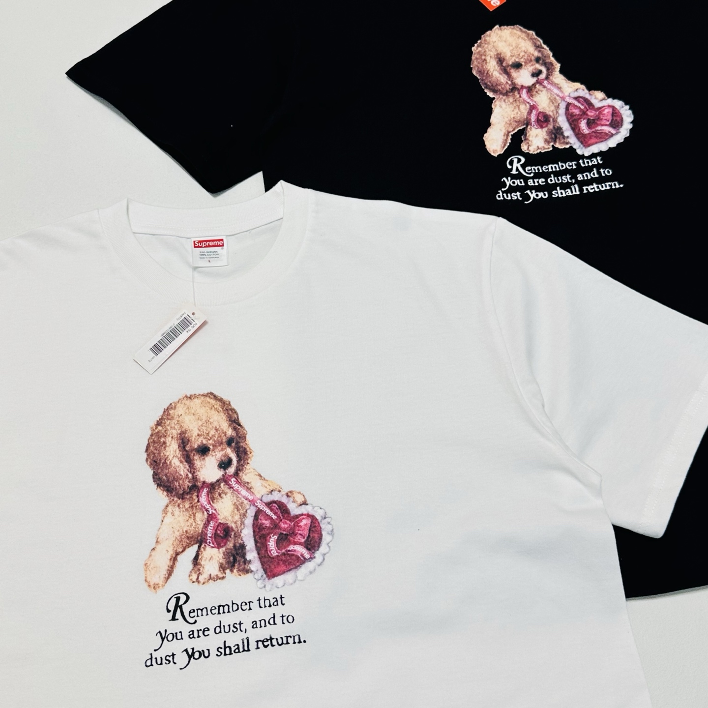 Supreme Dust Tee "Black"（SUP-FW25-273）