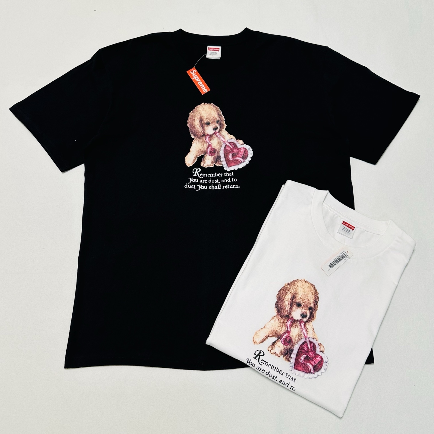 Supreme Dust Tee "Black"（SUP-FW25-273）