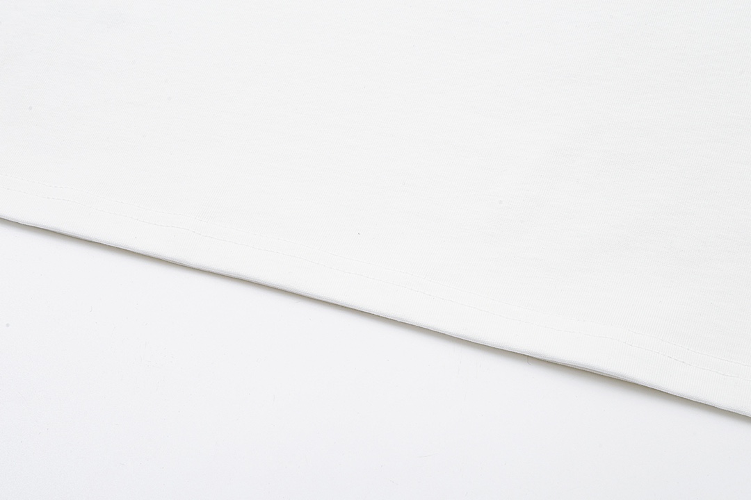 CELINE Loose T-shirt in Cotton Jersey (2X681671Q-38AW）