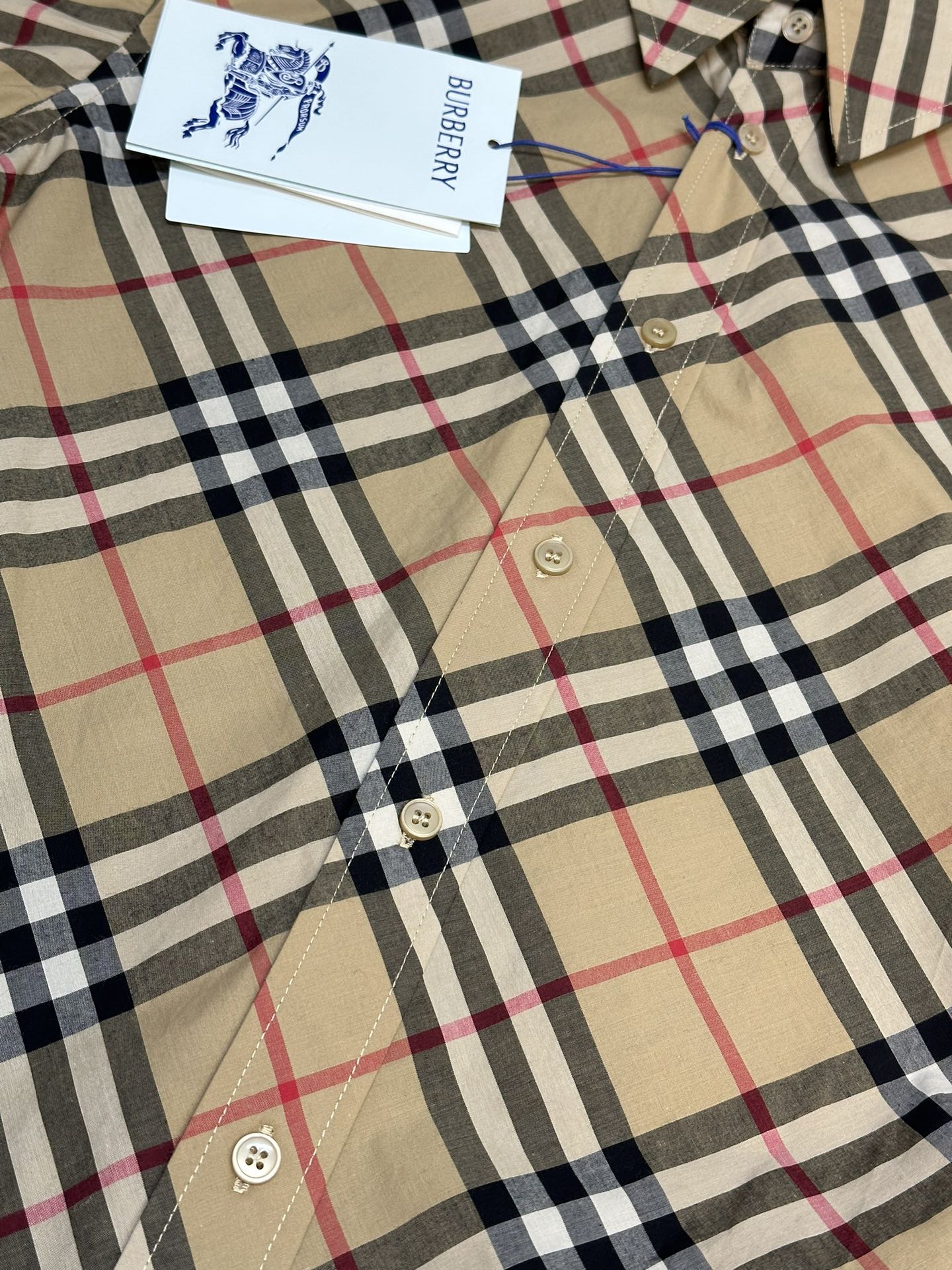 BURBERRY Regular Fit Check Cotton Shirt（80876371)