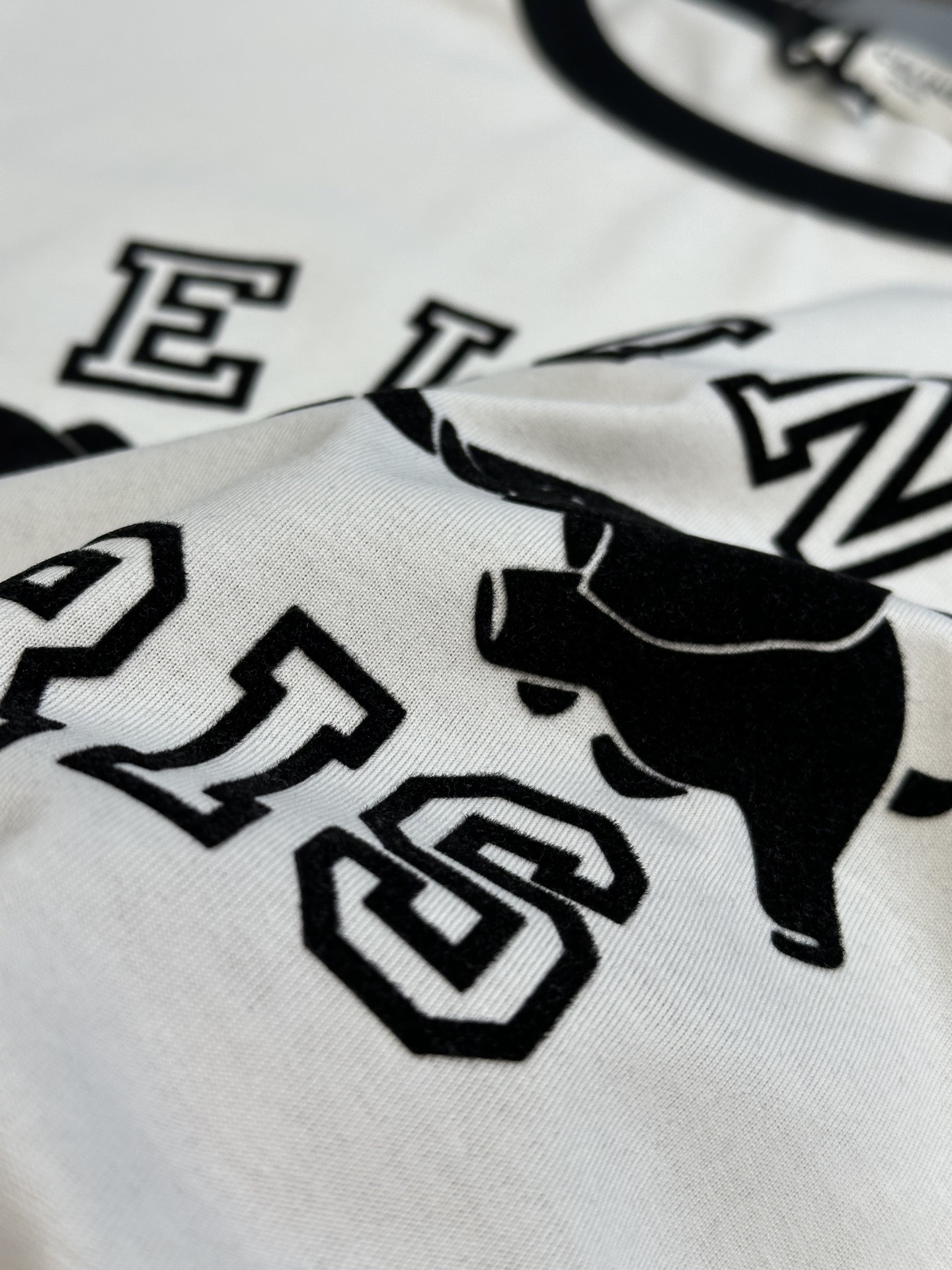 Celine regular t-shirt IN cotton jersey（RX0AV671Q-01OB）