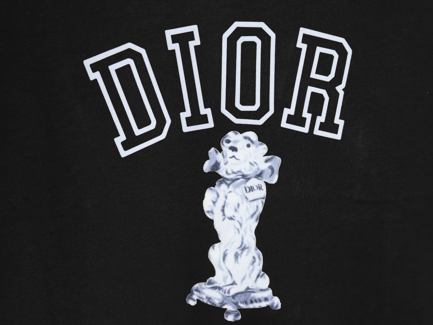 Dior T-shirt 24SS（483J635A0817-C980）