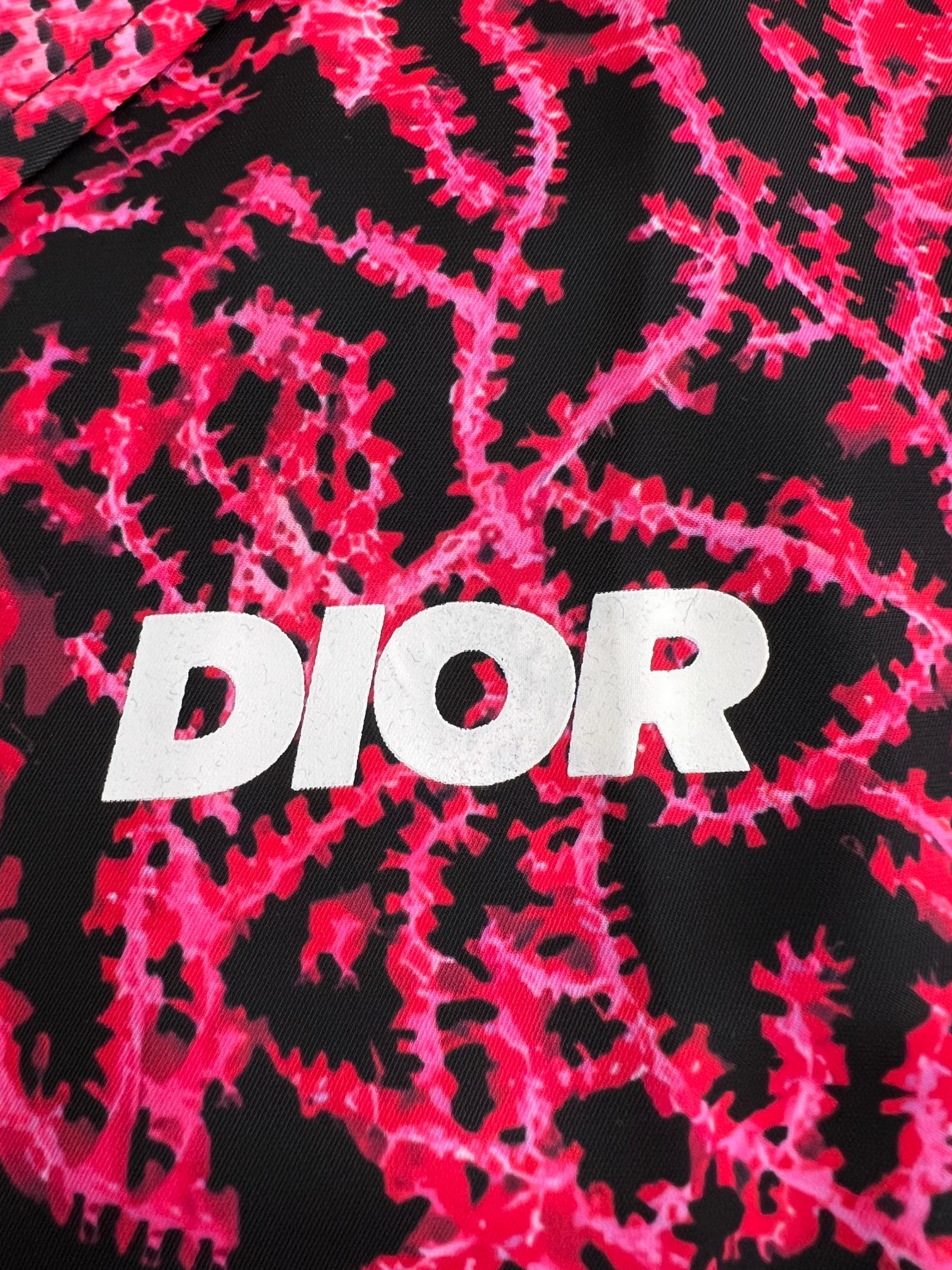 DIOR Italic short sleeve shirt（483C568B6077-C970）