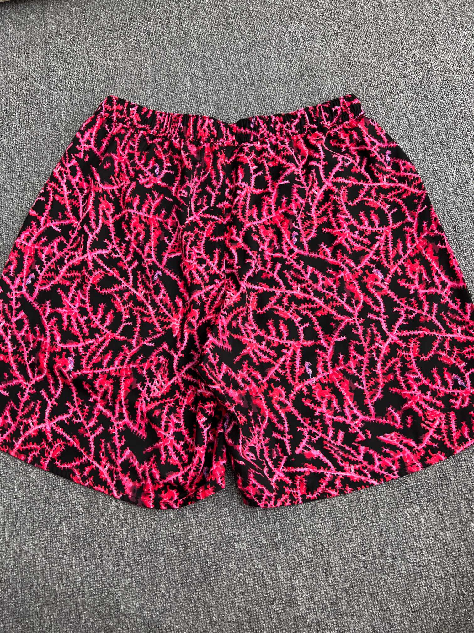 DIOR Italic Shorts（483C102B6077-C970）