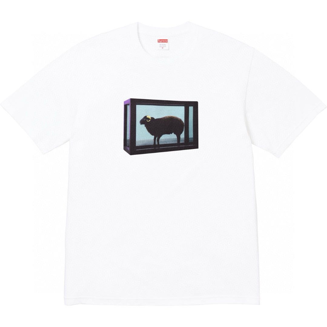 Supreme Damien Hirst Tee (SUP-SS25-001）